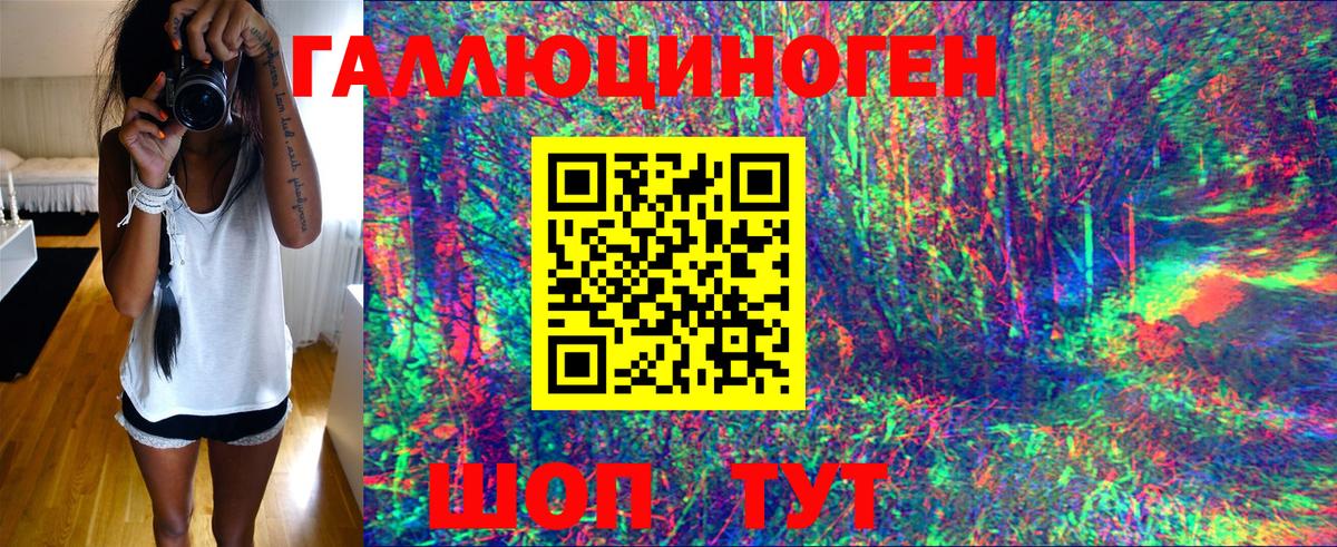 Псилоцибиновые грибы Cubensis Светлоград
