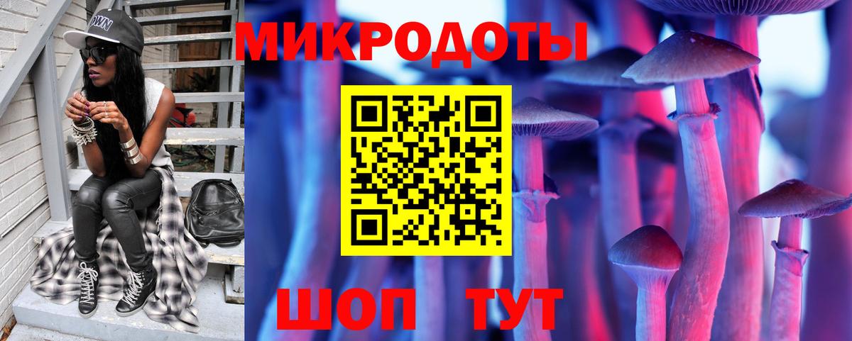 закладка  Вход с VPN  Светлоград  Псилоцибиновые грибы Psilocybe 